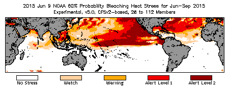 Bleaching Outlook - 60% probability