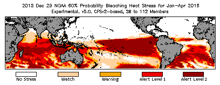 Bleaching Outlook - 60% probability