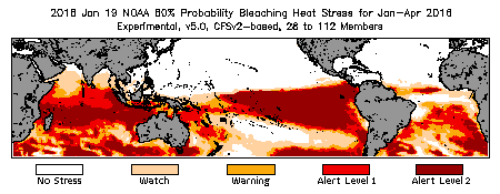 Bleaching Outlook - 60% probability