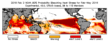 Bleaching Outlook - 90% probability