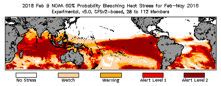 Bleaching Outlook - 60% probability