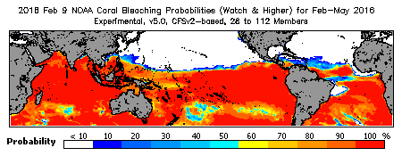 Current Bleaching Heat Stress Outlook Probability - Watch and higher