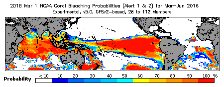 Current Bleaching Heat Stress Outlook Probability - Alert Levels 1 and 2