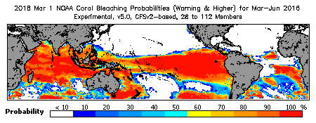 Current Bleaching Heat Stress Outlook Probability - Warning and higher