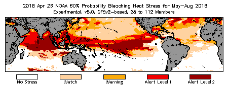 Bleaching Outlook - 60% probability