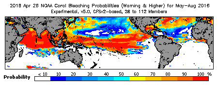 Current Bleaching Heat Stress Outlook Probability - Warning and higher