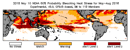 Bleaching Outlook - 60% probability