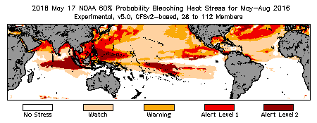 Bleaching Outlook - 60% probability