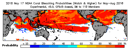 Current Bleaching Heat Stress Outlook Probability - Watch and higher