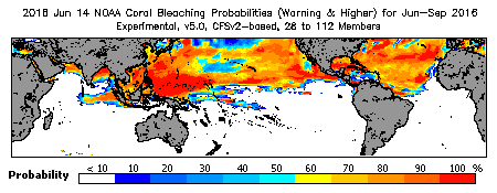 Current Bleaching Heat Stress Outlook Probability - Warning and higher