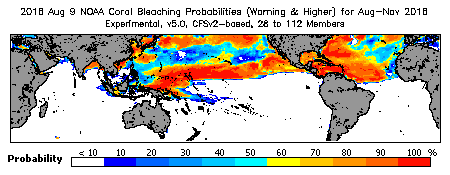 Current Bleaching Heat Stress Outlook Probability - Warning and higher