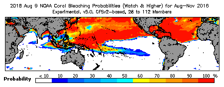 Current Bleaching Heat Stress Outlook Probability - Watch and higher