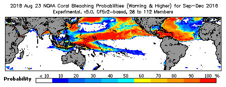 Current Bleaching Heat Stress Outlook Probability - Warning and higher