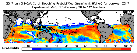 Current Bleaching Heat Stress Outlook Probability - Warning and higher