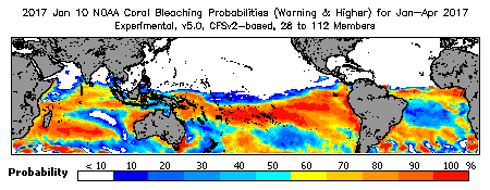 Current Bleaching Heat Stress Outlook Probability - Warning and higher