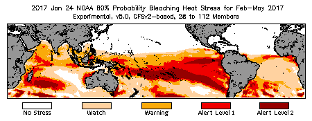 Bleaching Outlook - 60% probability