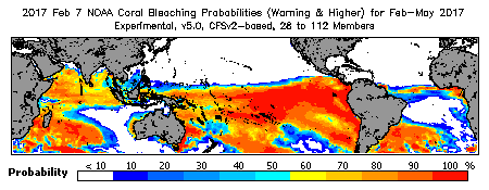 Current Bleaching Heat Stress Outlook Probability - Warning and higher