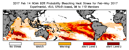 Bleaching Outlook - 90% probability