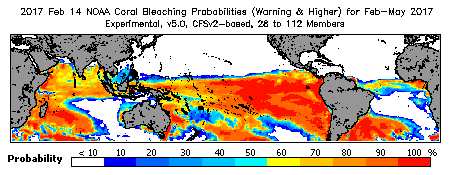 Current Bleaching Heat Stress Outlook Probability - Warning and higher