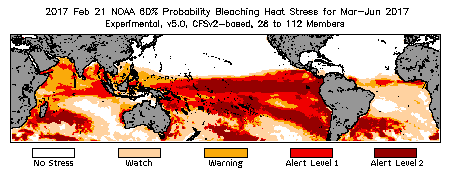 Bleaching Outlook - 60% probability