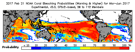 Current Bleaching Heat Stress Outlook Probability - Warning and higher