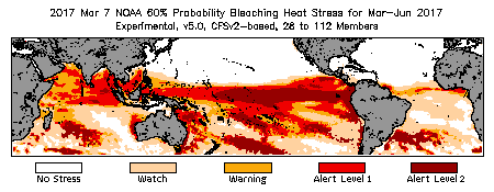 Bleaching Outlook - 60% probability