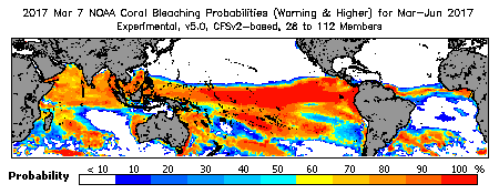 Current Bleaching Heat Stress Outlook Probability - Warning and higher