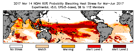 Bleaching Outlook - 60% probability