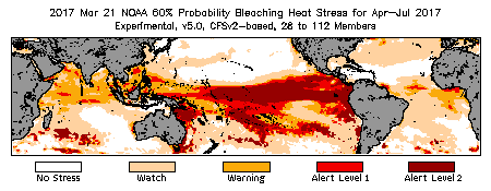 Bleaching Outlook - 60% probability