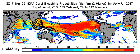 Current Bleaching Heat Stress Outlook Probability - Warning and higher