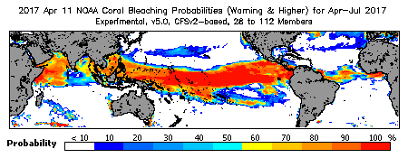 Current Bleaching Heat Stress Outlook Probability - Warning and higher