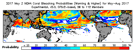 Current Bleaching Heat Stress Outlook Probability - Warning and higher