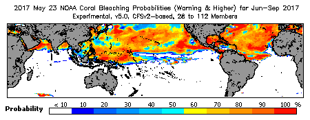 Current Bleaching Heat Stress Outlook Probability - Warning and higher