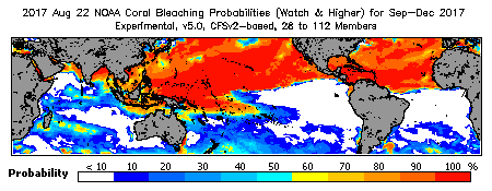 Current Bleaching Heat Stress Outlook Probability - Watch and higher