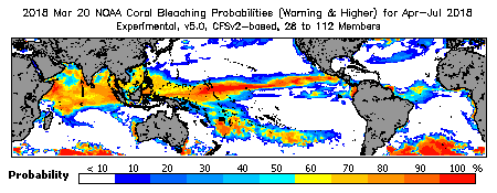 Current Bleaching Heat Stress Outlook Probability - Warning and higher