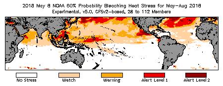 Bleaching Outlook - 60% probability