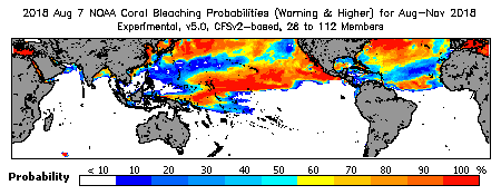 Current Bleaching Heat Stress Outlook Probability - Warning and higher