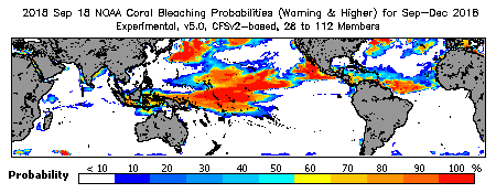 Current Bleaching Heat Stress Outlook Probability - Warning and higher