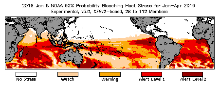 Bleaching Outlook - 60% probability