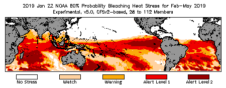 Bleaching Outlook - 60% probability