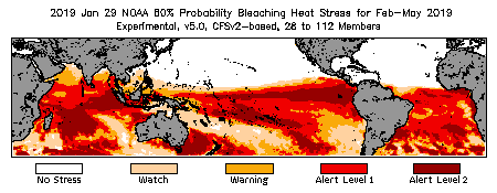 Bleaching Outlook - 60% probability