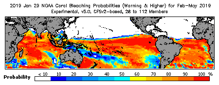 Current Bleaching Heat Stress Outlook Probability - Warning and higher