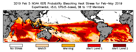 Bleaching Outlook - 60% probability