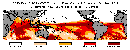 Bleaching Outlook - 60% probability