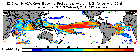 Current Bleaching Heat Stress Outlook Probability - Alert Levels 1 and 2