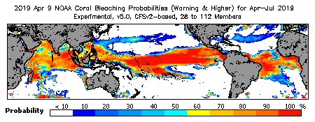 Current Bleaching Heat Stress Outlook Probability - Warning and higher