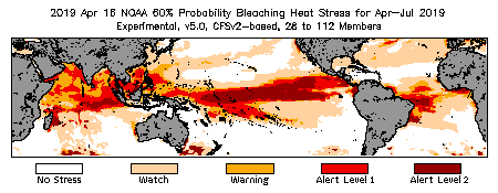 Bleaching Outlook - 60% probability