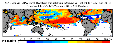 Current Bleaching Heat Stress Outlook Probability - Warning and higher