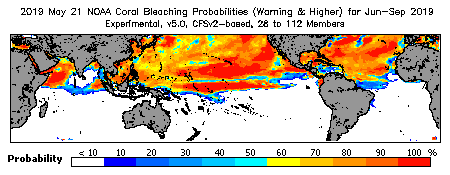 Current Bleaching Heat Stress Outlook Probability - Warning and higher