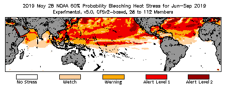 Bleaching Outlook - 60% probability